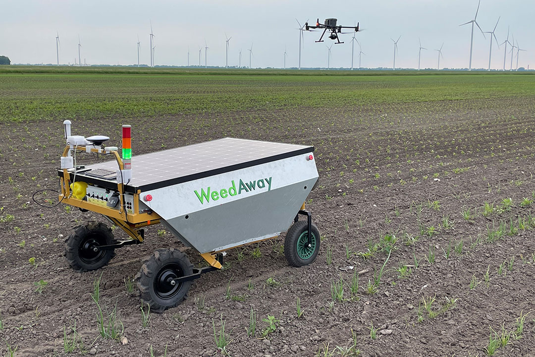 De drone detecteert ridderzuringplanten. Het prototype van de WeedAway-robot spoort de planten autonoom op, waarna hij ze plaatsspecifiek bestrijdt met een herbicide. - Foto: WeedAway