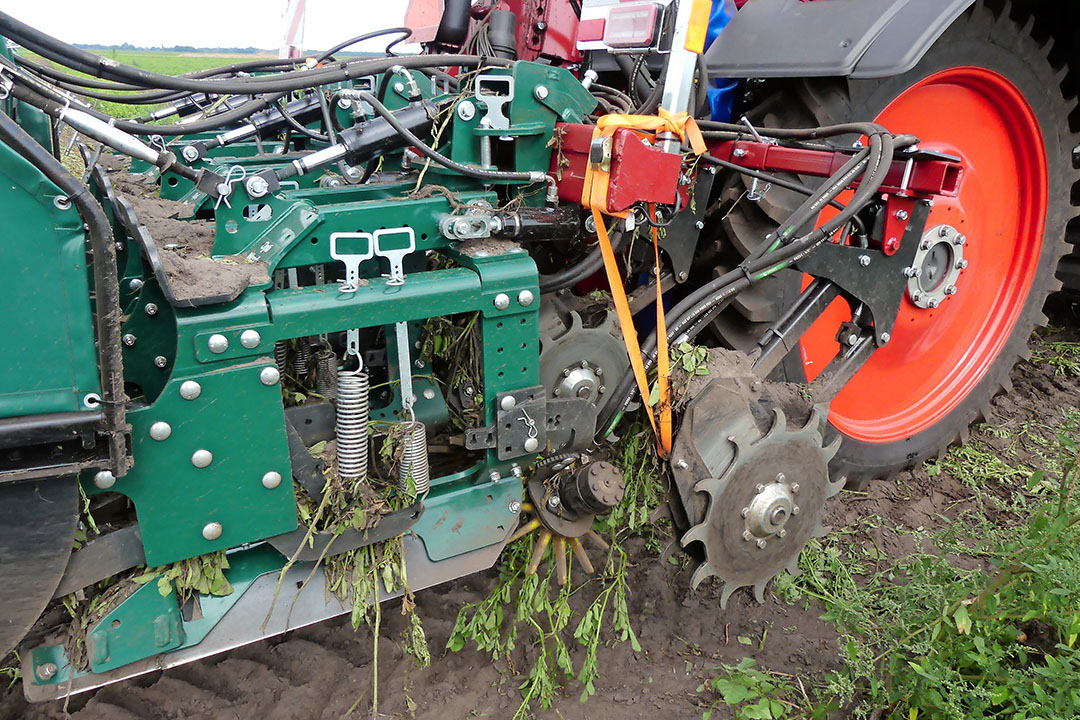 De Crown Crusher heeft twee kort boven elkaar draaiende, grof getande schijven die de aardappelen net boven de rug rafelig afknippen, of de stengels daar toch tenminste flink kneuzen. Volgens de Deense ervaring is dat ook precies de reden dat de aardappelplant dan afsterft. - Foto's: Martin Smits 