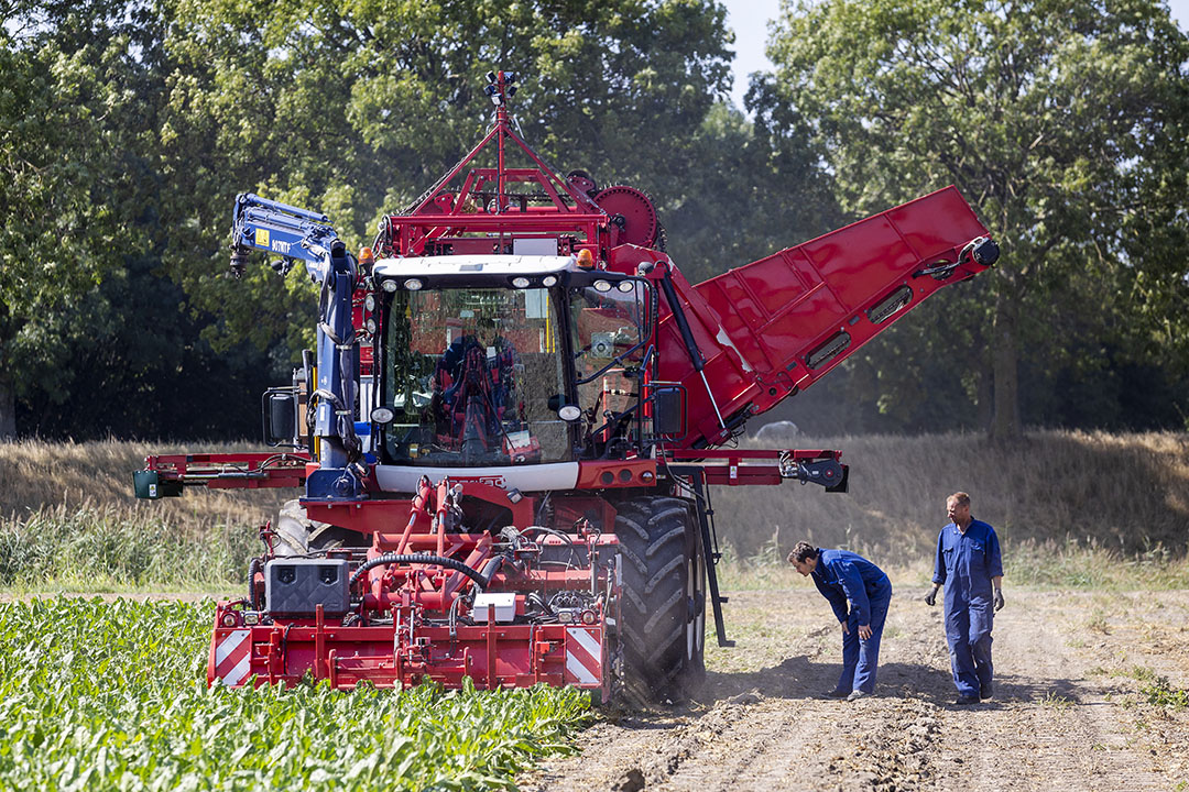 Bieten rooien bij IRS Innovation Centre in Dinteloord, september 2022, met aandacht voor bandendruk en bodemverdichting. Zowel bij bandendrukwisselsystemen als VF-banden draait het om de juiste bandenspanning op het juiste moment. - Foto: Roel Dijkstra