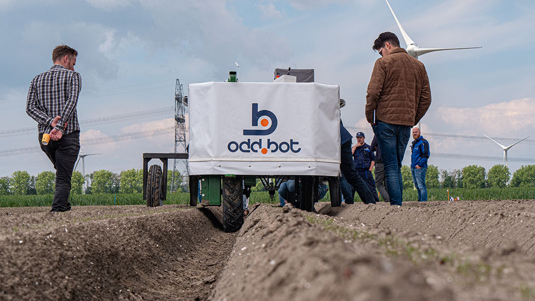 De robot van Odd.Bot uit Almere (Fl.) herkent onkruidplantjes ín de gewasrij en verwijdert die mechanisch. Foto: Galama Media