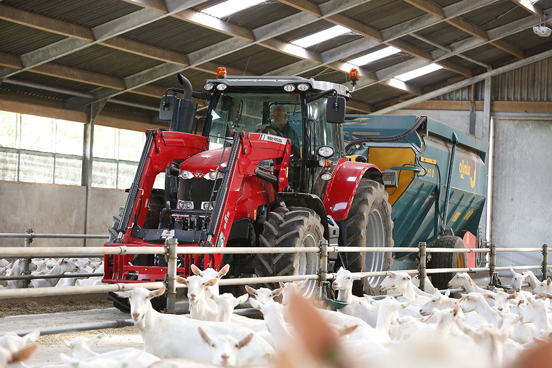 Massey Ferguson tussen de geiten. LMB Veldman in Mariënheem (Ov.) neemt per 1 februari 2023 het dealerschap van Massey Ferguson over van S. Tjalma in Oldekerk (Gr.). - Foto: Hans Prinsen