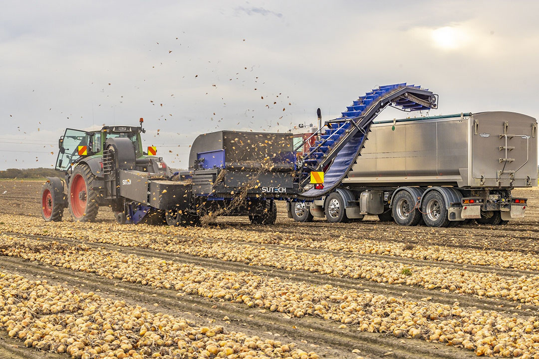 De uienlader met geïntegreerde afstaarter die SU-Tech heeft ontwikkeld voor een akkerbouwer in Nieuw Zeeland, is vooral interessant voor uientelers die gevestigd zijn in teeltgebieden waar een zonnig en warm klimaat heerst. - Foto's: SU-Tech