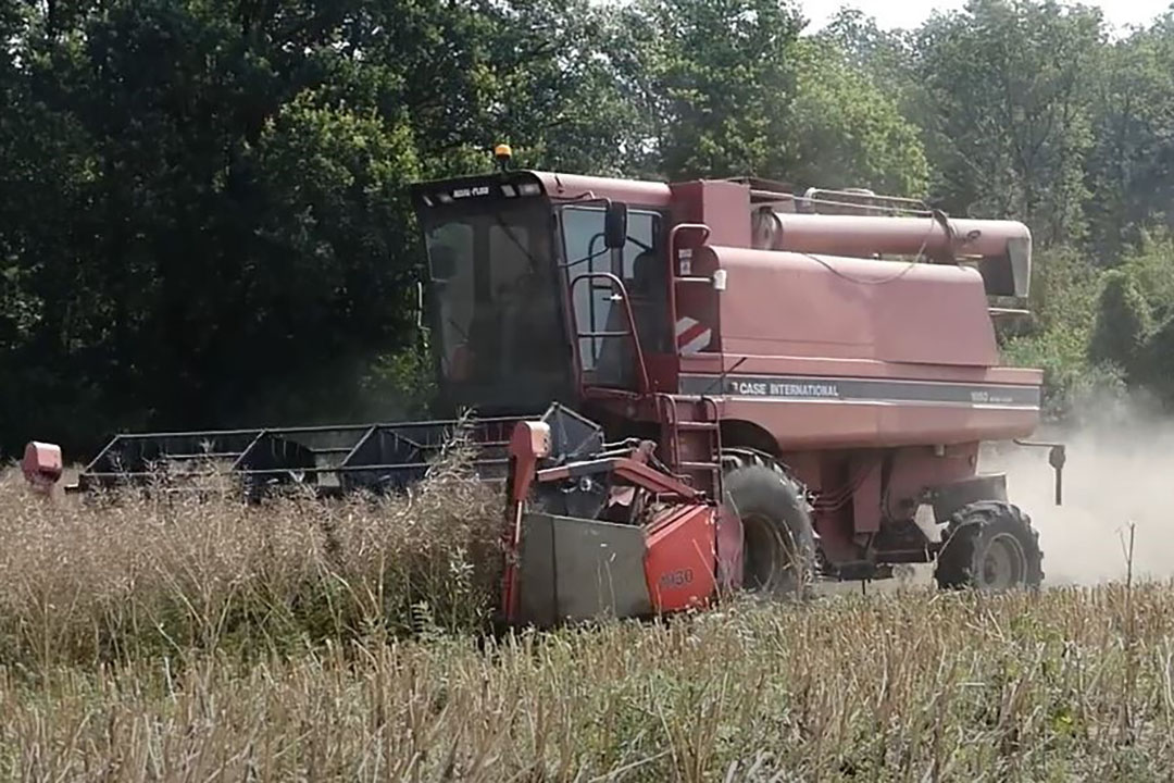 Ten zuiden van Parijs is de graanoogst in volle gang. Koolzaad wordt inmiddels gedorst, hier met een Case IH Axial Flow. - Foto: Martin Smits