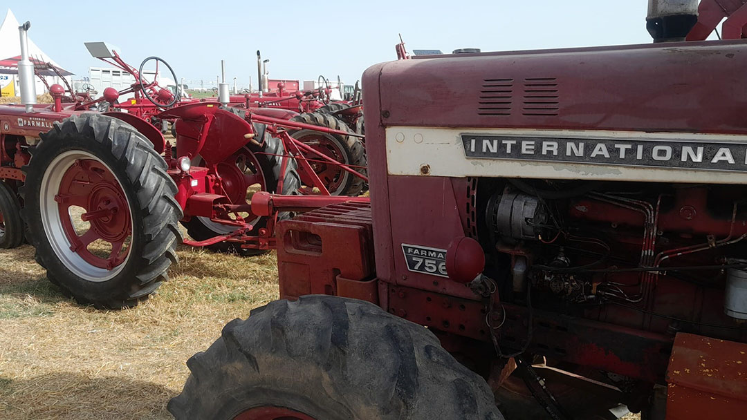 Een verzameling ‘tracteurs d’époque’ oftewel klassieke trekkers van het merk International Harvester op de Franse landbouwbeurs Innov-Agri van 5-7 september in het Franse Outarville. -  Foto's: Martin Smits