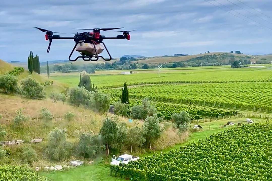 Bilancia Vineyard in Hawke's Bay, Nieuw-Zeeland, gebruikt een XAG P100 om over steile heuvels en in de wijngaarden te vliegen om te spuiten. - Foto: XAG