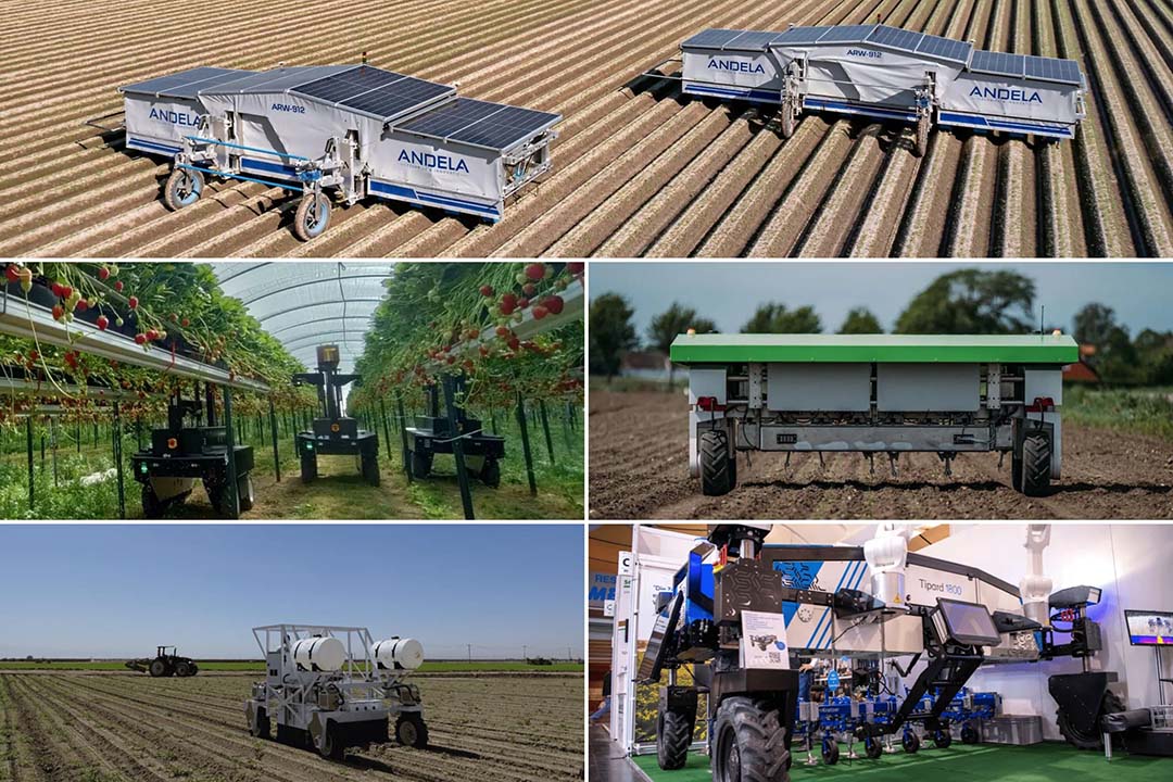 Vijf veldrobots die in staat zijn om één of meerdere handelingen in gewassen autonoom uit te voeren, zijn genomineerd voor de prijs Ag Robot of the Year 2024.  Dit zijn de vijf finalisten waarop jij je stem kunt uitbrengen. - Foto: Canva