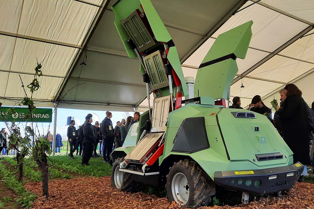 Maschio Gaspardo verwacht in 2024 vijf Icaro X4-robots te verkopen in Italië en Frankrijk. In 2023 waren er al vijf in gebruik. - Foto: Geert Hekkert