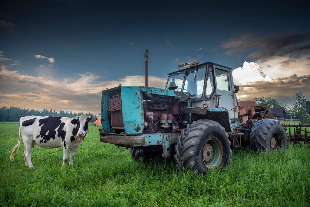 Deze eenzaam ogende Charkov T150-kniktrekker wordt vergezeld door één koe aan een ketting. De eigenaar laat weten 30 hectare te boeren, en de trekker zo af en toe eens te gebruiken.