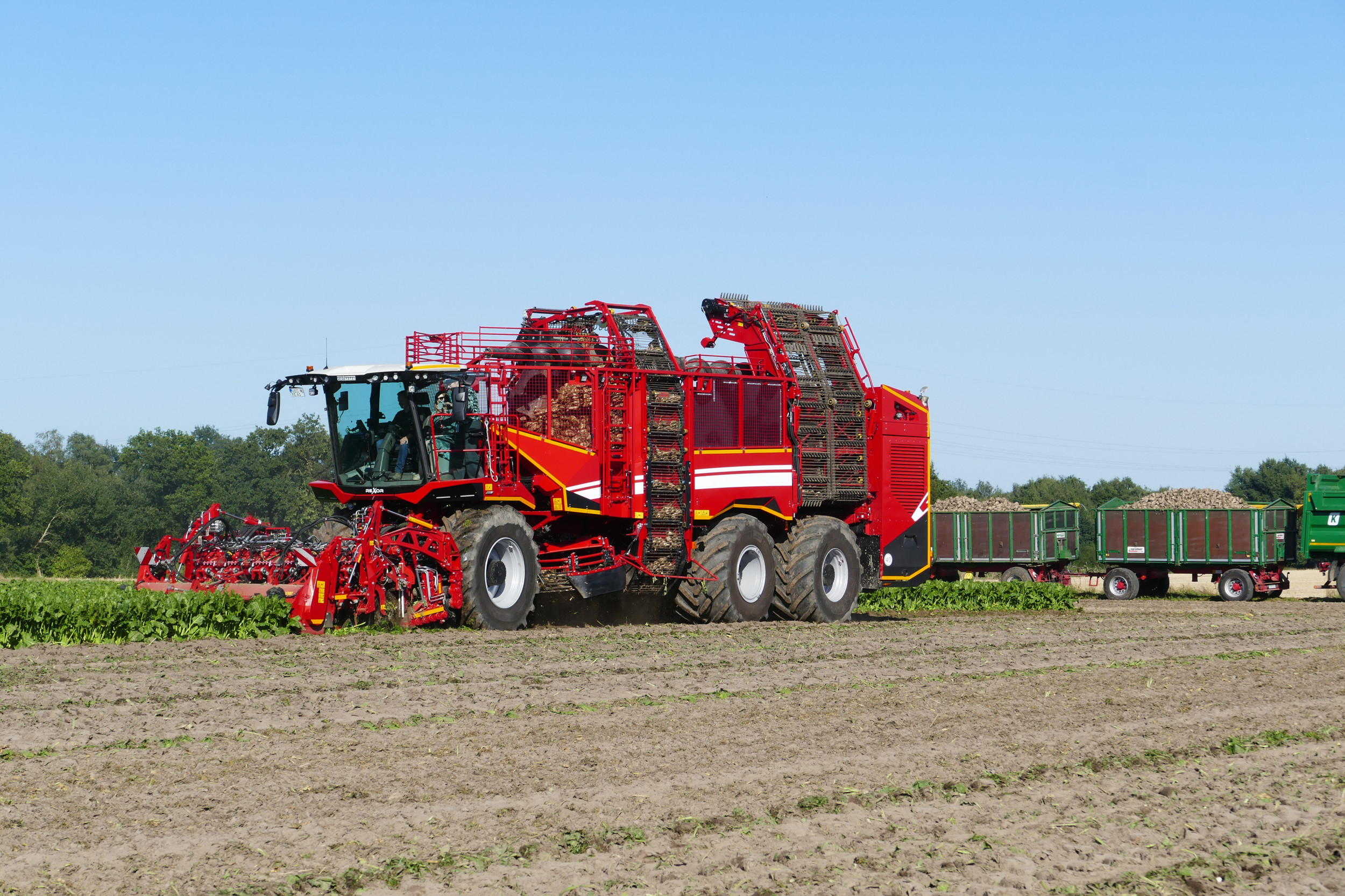 TREKKER zag de vernieuwde bietenrooier Rexor 6300 van machinefabrikant Grimme vorige week een aantal hectares bieten rooien tijdens een persbijeenkomst op de Grimmehof in Cappeln (D.). De bietenrooier was voorheen net iets langer dan 15 meter. Dat gaf problemen om de machine op kenteken te krijgen. Door een gewijzigd motorcompartiment zit de lengte van de drieasser nu net onder de 15 meter. – Foto’s: Martin Smits