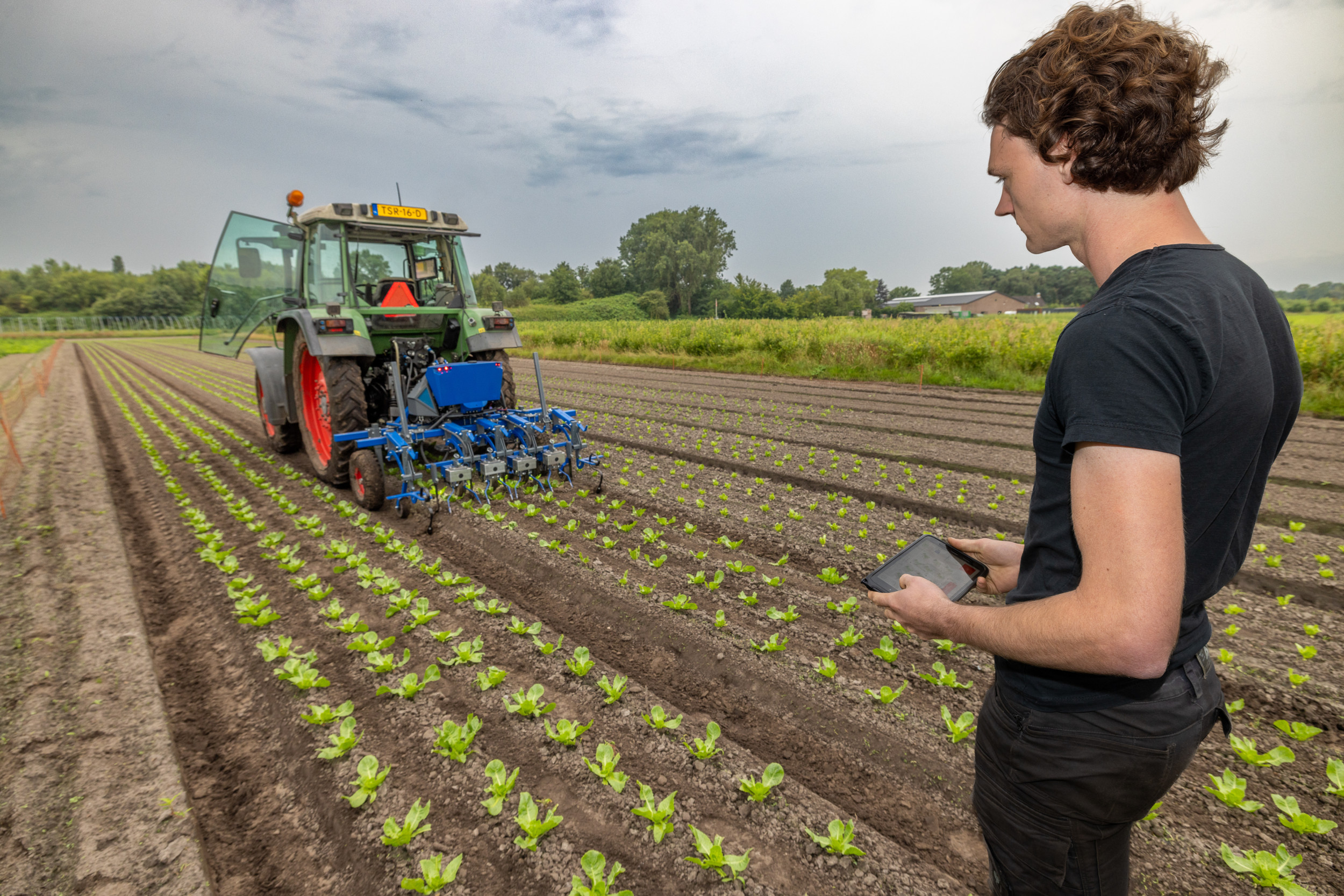 De E-Vario-Weeder schoffelt cameragestuurd in de rij. Via de camerasoftware worden de cultuurplanten herkend, zodat de schoffel nauwkeurig de rij blijft volgen. De machine schoffelt zowel tussen als in de rij. Een knap staaltje engineering van Eerke Lauwen, uitvinder van de E-Vario-Weeder. – Foto’s: Peter Roek