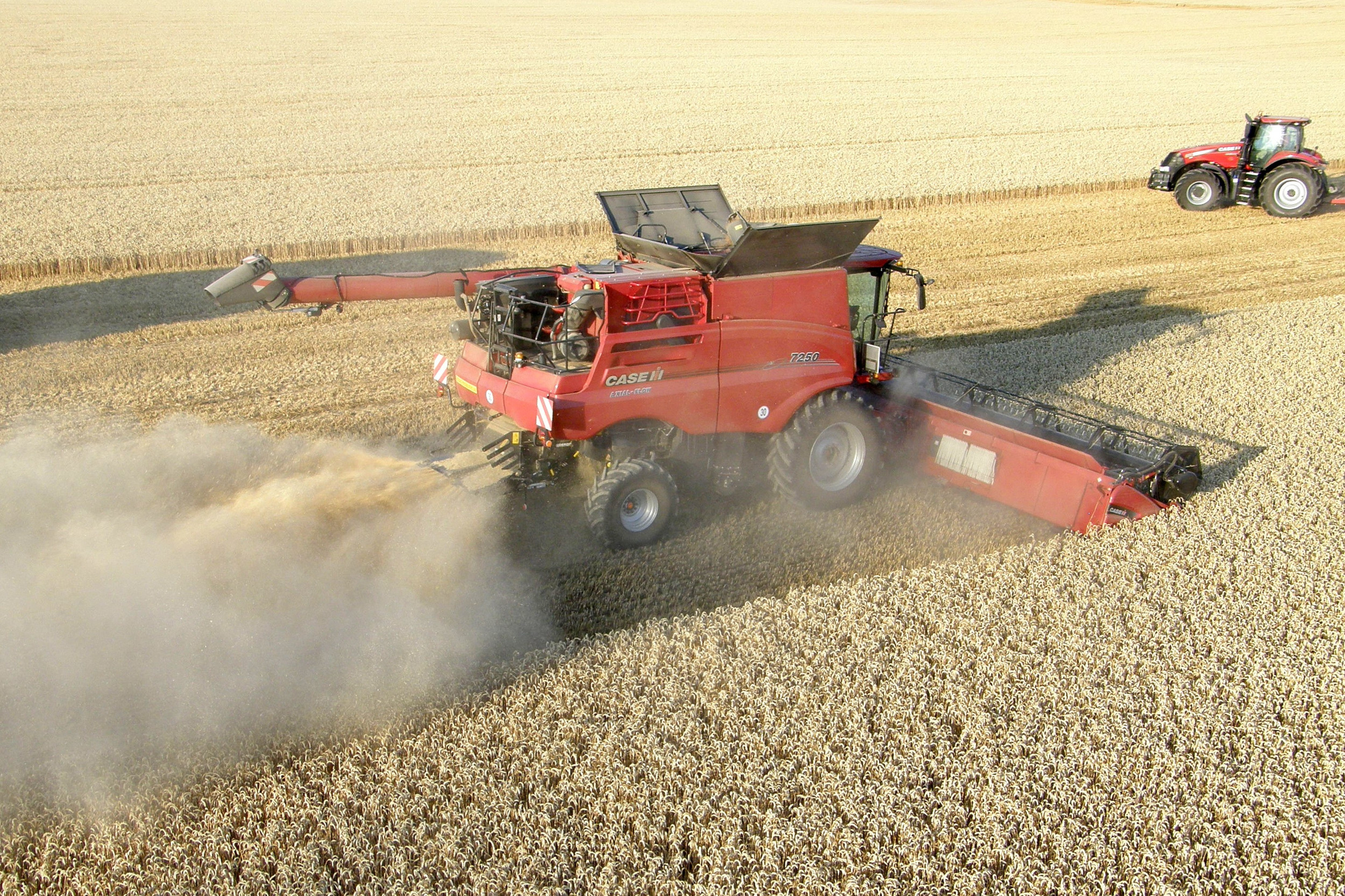 Onkruidzaden die via maaidorsers in akkers terechtkomen en daar wortel schieten, vormen een van de grootste uitdagingen voor akkerbouwers. Een nieuwe technologie als de Weed Seed Destroyer biedt akkerbouwers hulp in het bestrijden van onkruid. – Foto: Chris Mccullough/Picasa