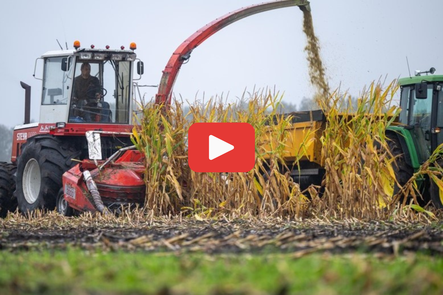 Steyr 8320 en Kemper Champion 3000-maisbek. – Still uit video