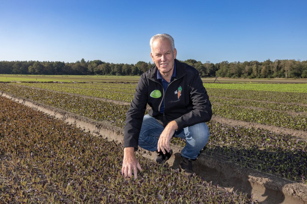 “De machine werkt met een nauwkeurigheid van enkele millimeters”, vertelt Adrie van den Einden. “Waar we heen willen is alle onkruid raken en geen enkel gewasplantje. Eigenlijk zijn we daar al zowat.”