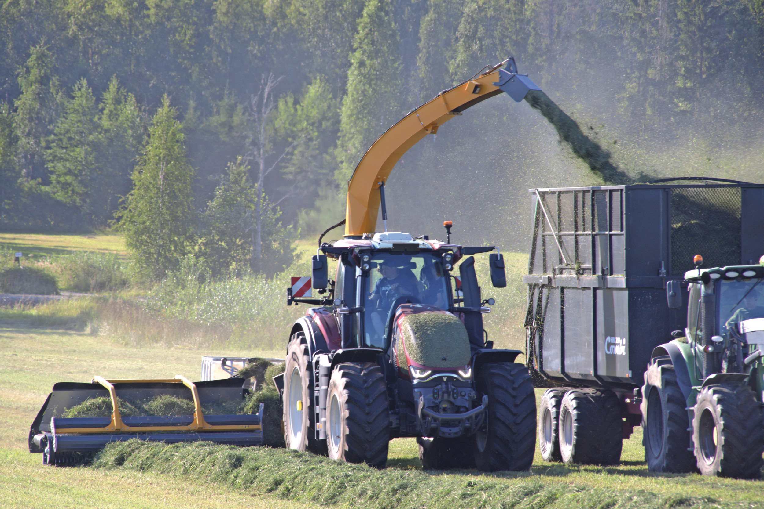 De Finse machinefabrikant Elho speelt met de Elho Cobra 7710T in op de vraag naar grotere getrokken hakselaars. De veldhakselaar wijkt met zijn curvebaanloze pick-up met een dwarsafvoerband erachter behoorlijk af van wat we al eerder hebben gezien. TREKKER test de machine in Finland. – Foto's: Eemeli Linna