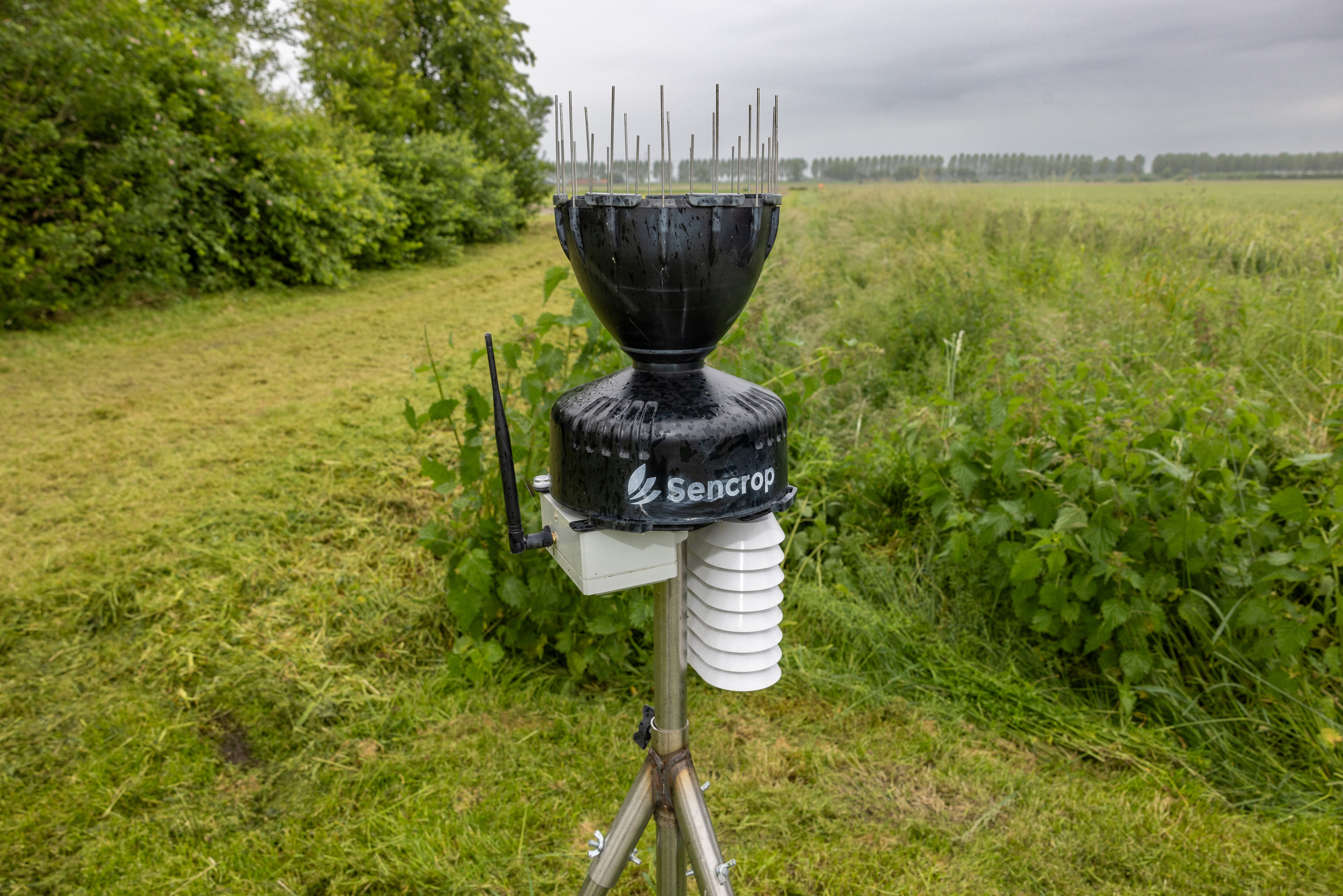 Een Sencrop-weerstation bij een perceel aardappelen in Ovezande (Zld.). Volgens Groupe Isagri zorgt de overname van Sencrop ervoor dat gebruikers profijt hebben van een uitgebreid netwerk van weerstations. – Foto: Groupe Isagri