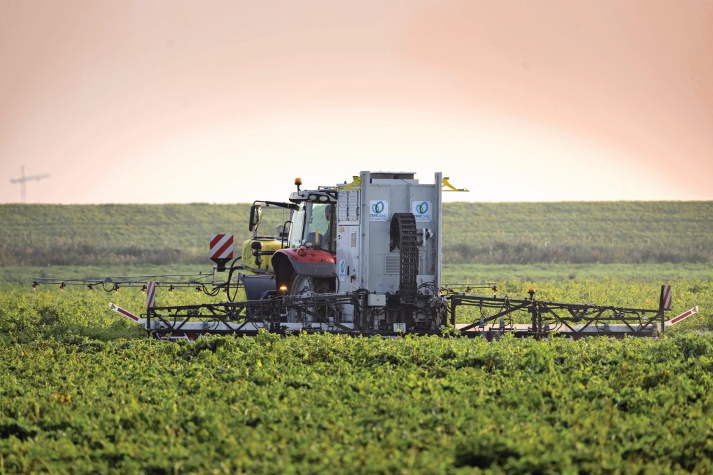 Nucrop-elektrocutiemachine in Karelia-aardappelen. Het is één van de twee machines bij loonwerkers in Zuid-Holland en de Noordoostpolder. – Foto: Koos Groenewold