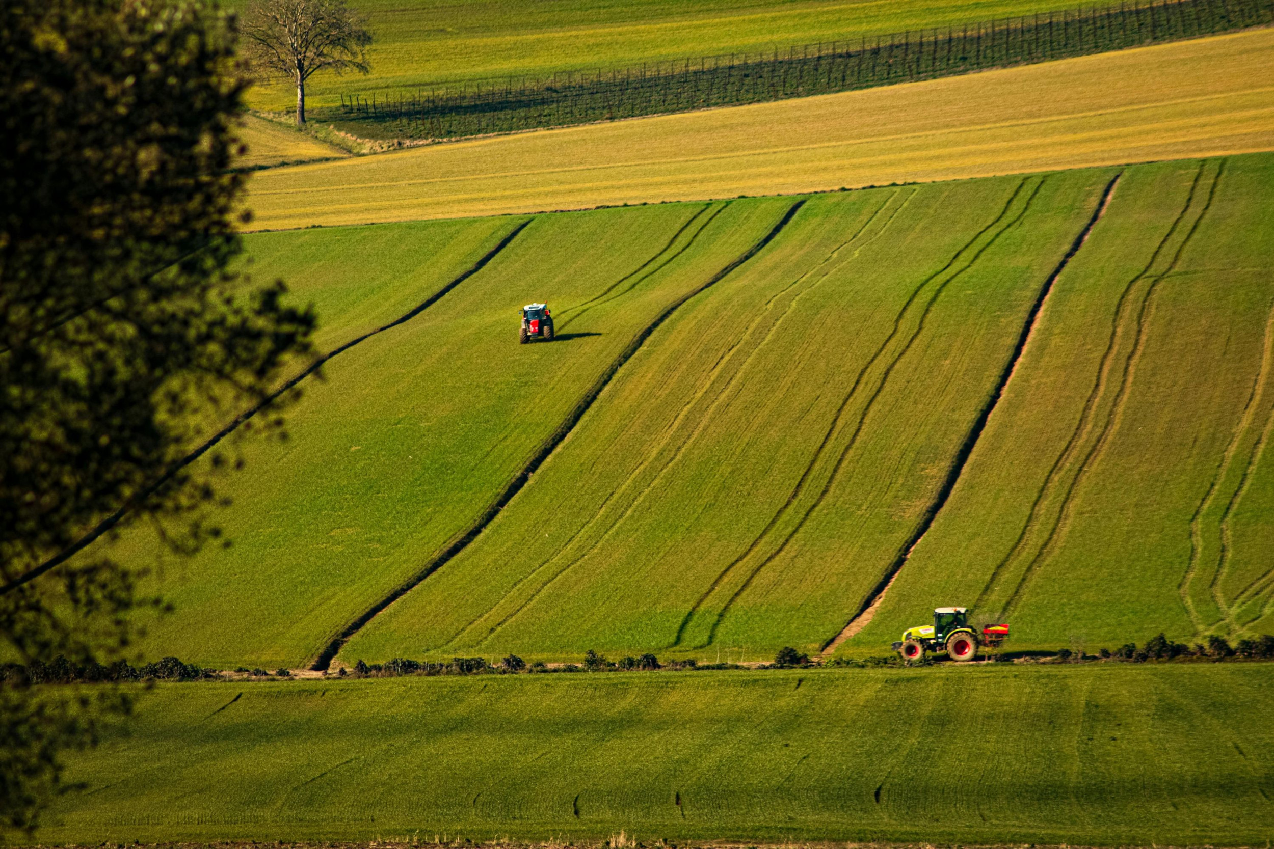 In 2024 zijn er 10.000 trekkers verkocht in het Verenigd Koninkrijk. Dit is het laagste aantal verkochte trekkers sinds 1998. – Foto: Pexels/Marco Biribò