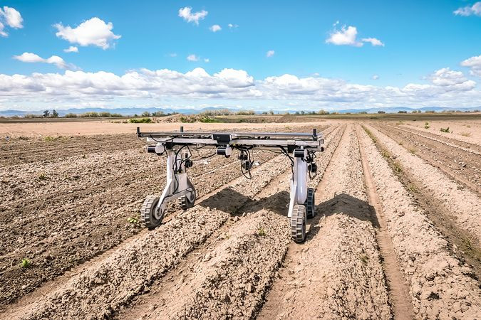 Wiedrobot Element gen2 van de Amerikaanse ag-tech fabrikant Aigen maakt gebruik van ingebouwde AI en zonne-energie om onkruid mechanisch te herkennen en te verwijderen. Het vernieuwde model is breder en hoger, waardoor het inzetbaar is in rijenteelten als katoen, soja en suikerbieten. – Foto’s: Aigen