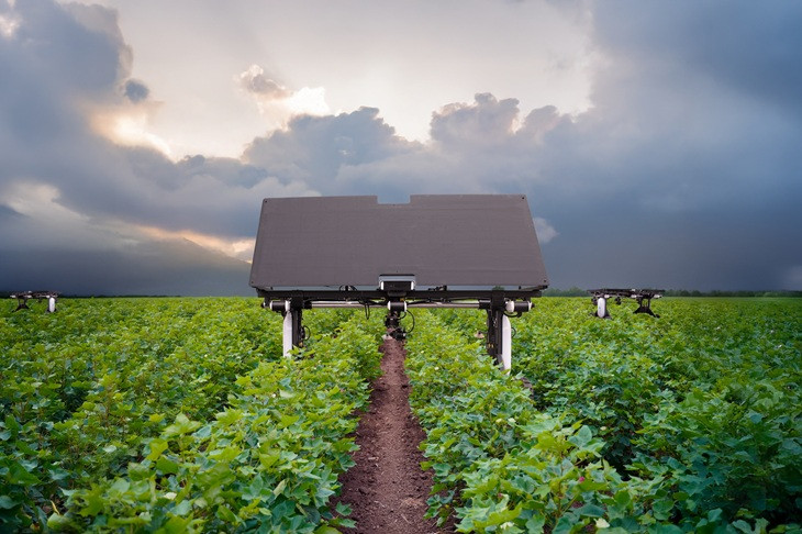 De Element gen 2-wiedrobot van Aigen werkt volledig autonoom op zonne-energie. De wiedrobots zijn dit seizoen actief in de katoenvelden van Bowles Farming Company in Californië.