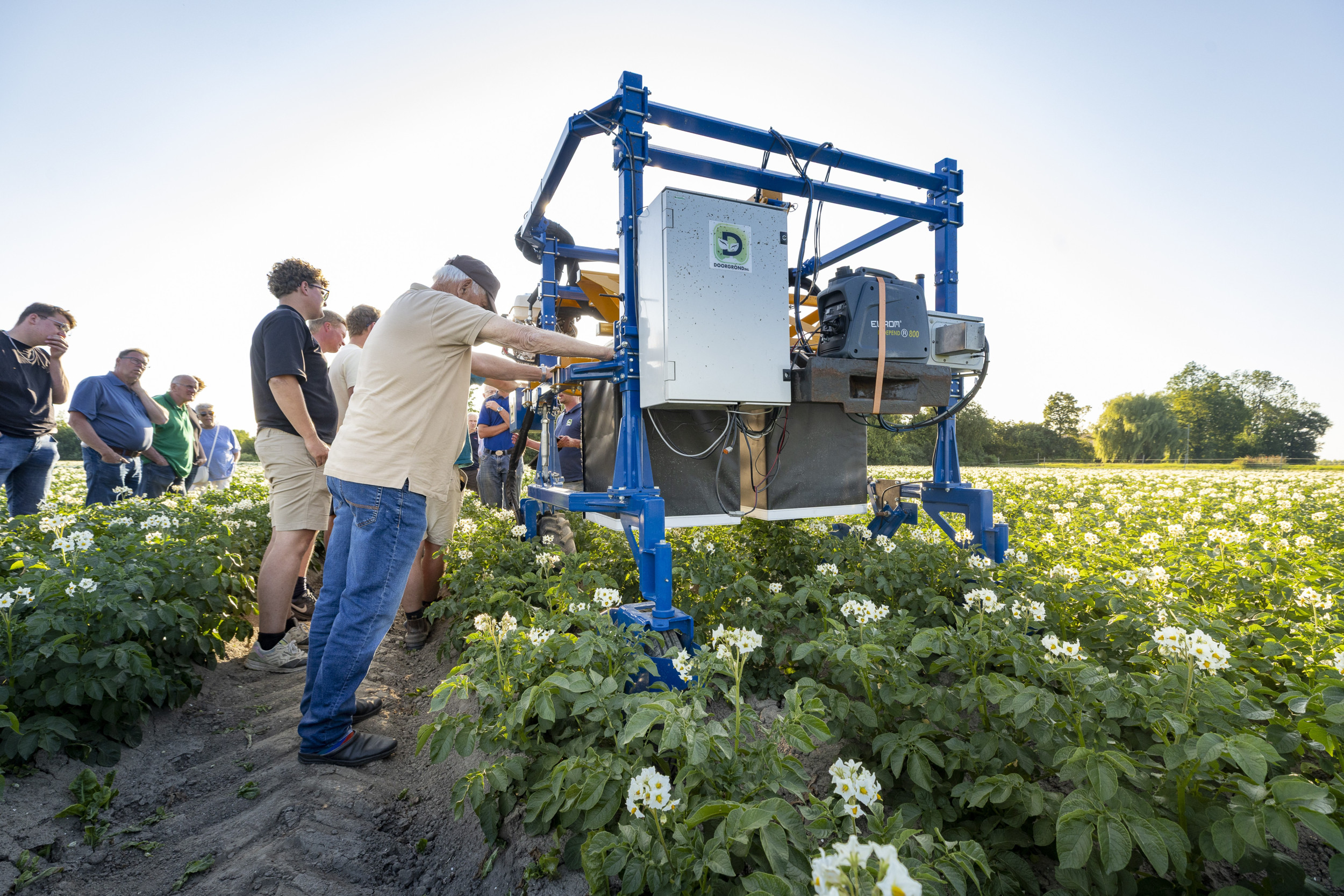 Zo’n 60 akkerbouwers verzamelden zich donderdagavond 19 juni in Emmeloord (Fl.) voor een demonstratie van aardappelselectierobot Croptiscan van startup Croptimal in een perceel Fontane-aardappelen. Foto: Koos Groenewold