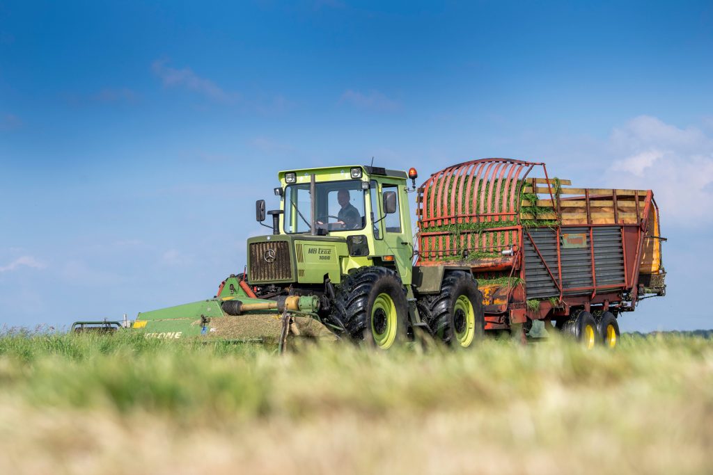 Stalvoeren in stijl. De mooie combi met Krone-frontmaaier en klassieke Miedema-opraapwagen is niet alleen geliefd bij de eigenaar maar maakt ook de veestapel blij.