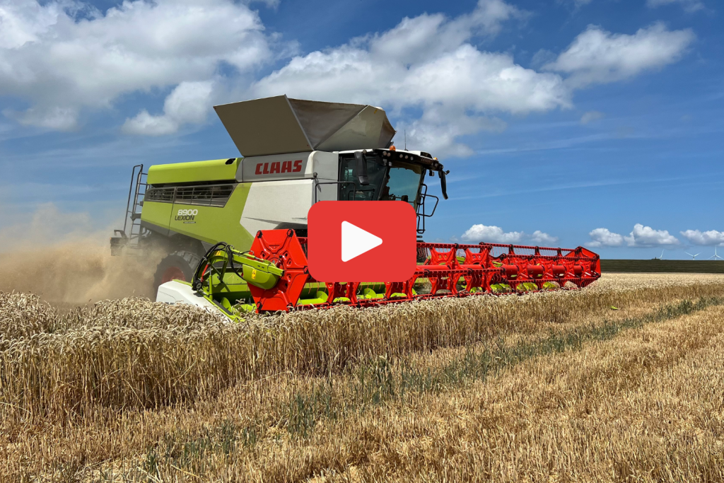 Deze Claas Lexion 8900 is waarschijnlijk de grootste combine op de Nederlandse akkers.