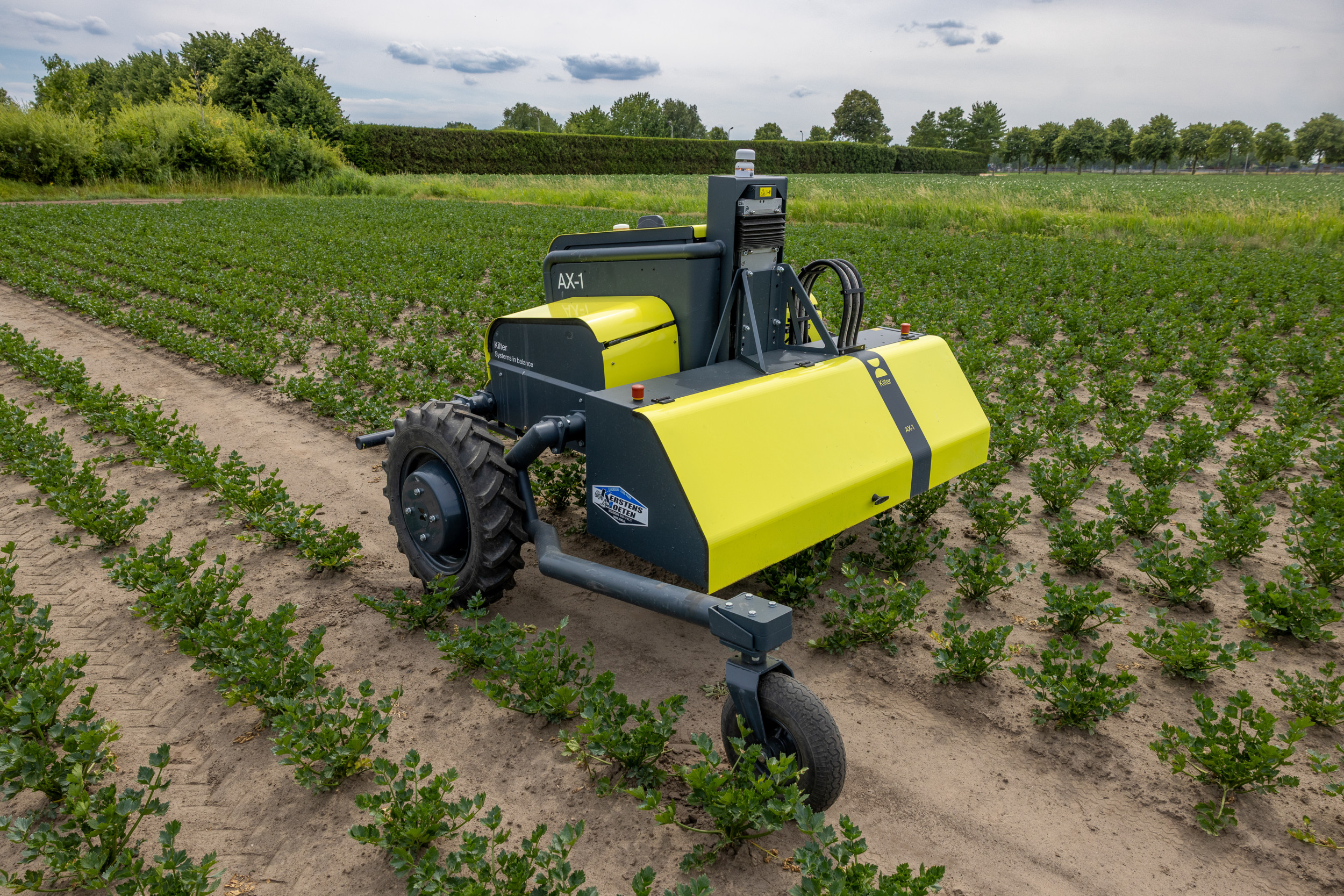 Robotspotsprayer Kilter AX-1 werd op 4 juli gedemonstreerd op een perceel knolselderij in Hoeven (N.-Br.). Tijdens de demo werd de werking van de autonome precisie-spotsprayer met druppelgenerator getoond. Foto’s: Peter Roek