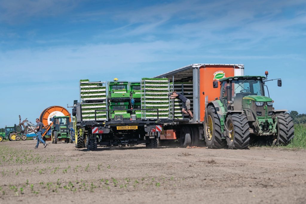Een mooie rij materieel op de kopakker. De snelheid tijdens het planten wordt voor een belangrijk deel bepaald door de logistiek rondom het proces. Breure gebruikt vrachtautotrailers met dolly voor de aanvoer van plantgoed.