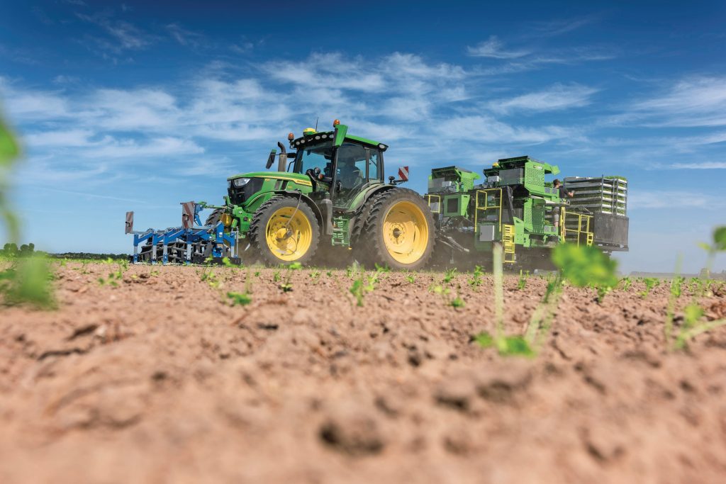Ondanks de droge, losse grond maakt de plantcombinatie mooi werk. Zo krijgen de jonge planten voldoende stevigheid in de bodem. Belangrijk is het om na het planten te beregenen.
