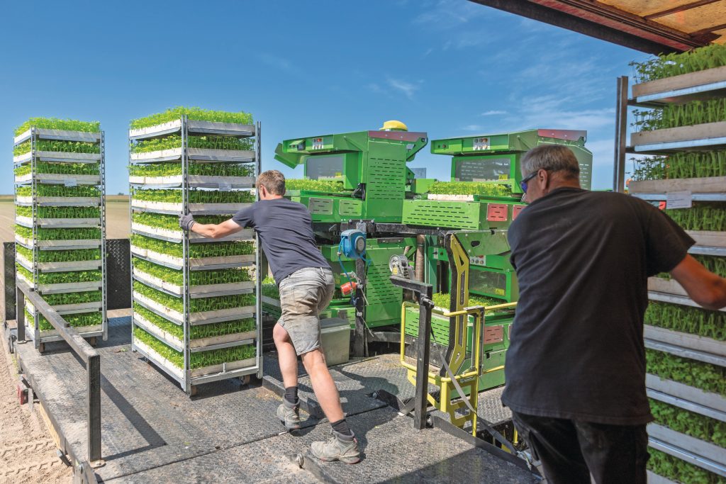 Roll on, roll off. Efficiënt laden van planten met behulp van karren die je over een opklapbare brug snel op de plantmachine kunt rijden. Breure dacht het systeem zelf uit. Karren wisselen gebeurt in slechts 5 minuten.