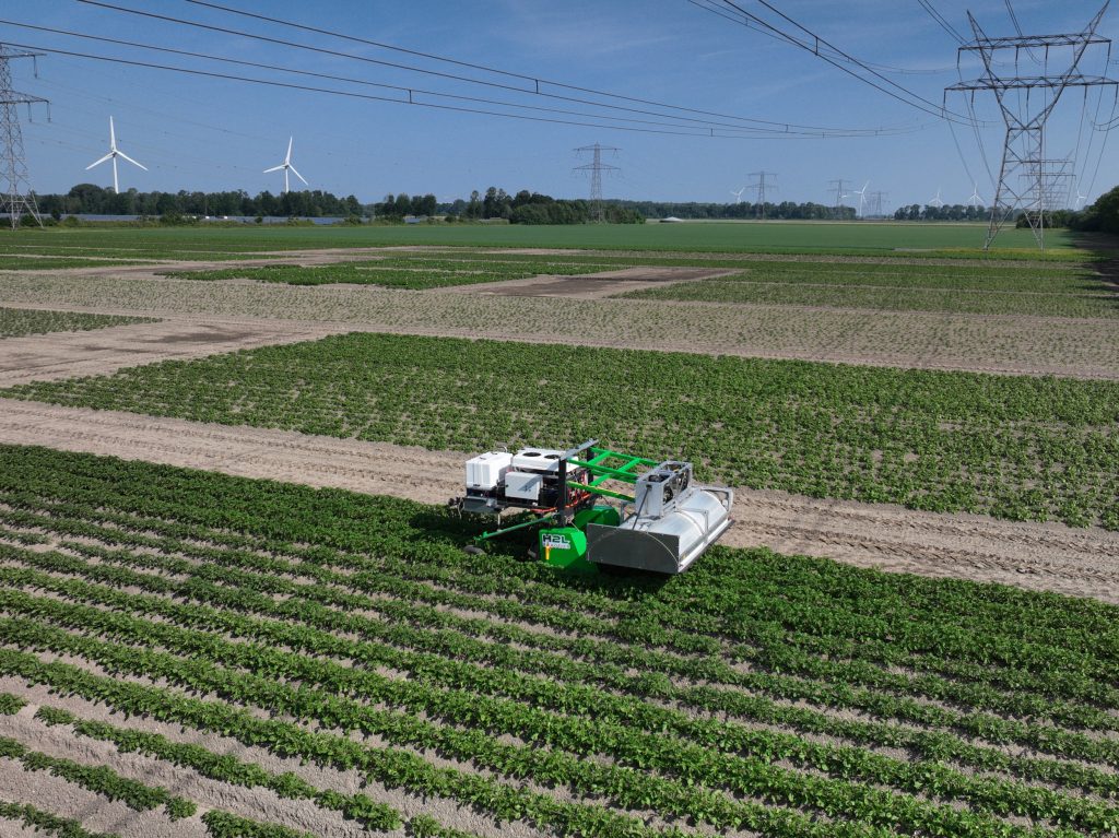 De PotatoSelector300 is afgelopen seizoen getest en getraind op de proefvelden van WUR open teelten in Lelystad. Van meerdere rassen zijn veel data verzameld die dienen als input voor de beeldherkenning.