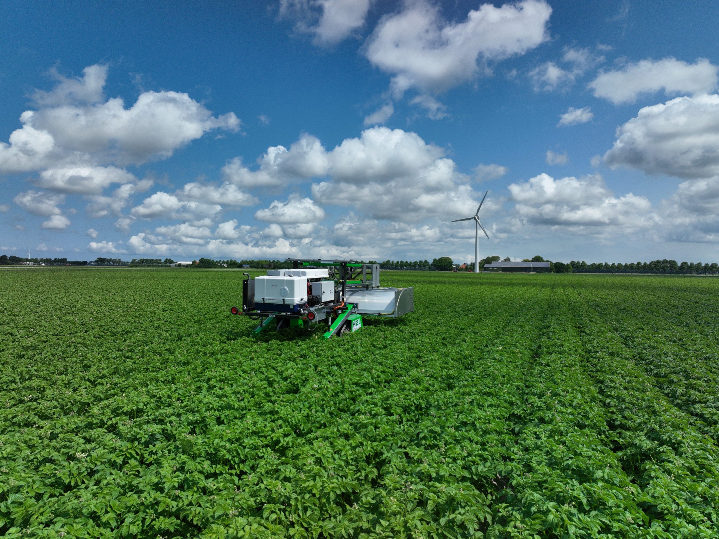 De PotatoSelector300 kan inmiddels afwijkende planten in 2 aardappelrassen goed herkennen  en markeren. – Foto’s: H2Lrobotics