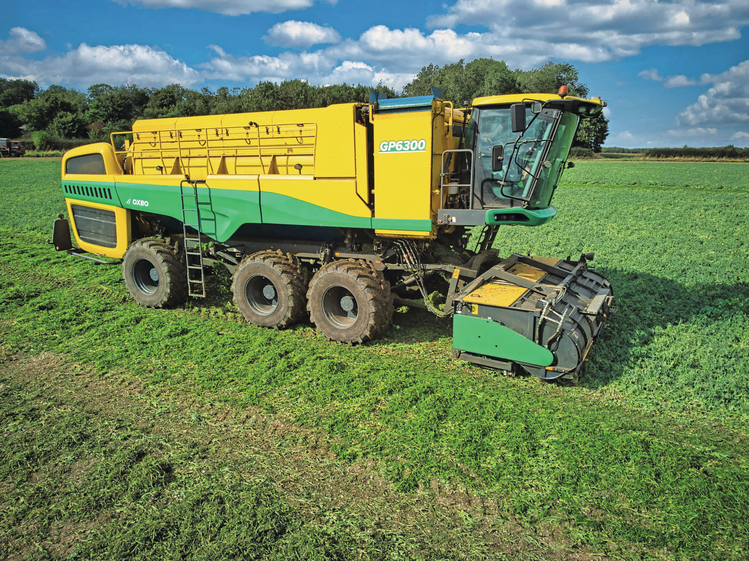 Door tractiecontrole en automatische nivellering blijft de Oxbo GP6300-erwtendorser, hier in een zeswielige uitvoering, ook in natte omstandigheden inzetbaar. Foto: Oxbo