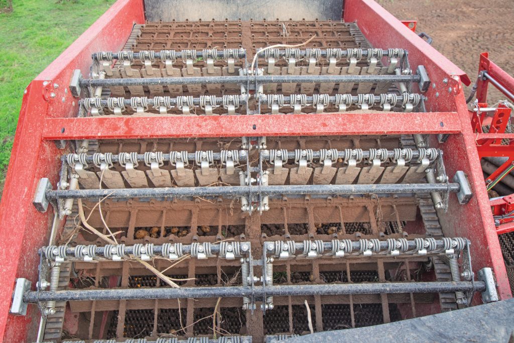 Door relatief langzaam draaiende zeefbanden en de rustige loop van de loofdoorvalband verloren we zelfs knollen die goed loofvrij waren, zoals achter het eerste pakket afstrijkrollen. Foto: Sönke Schulz