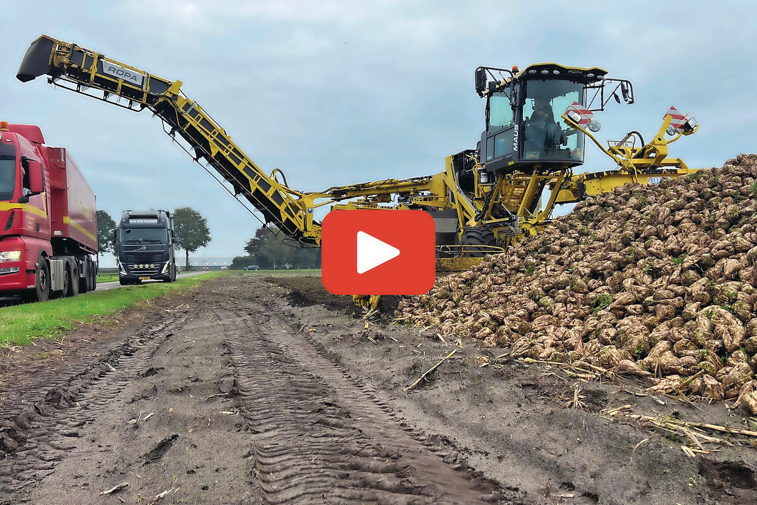 De Ropa Maus 6-bietenmuis raapt hier 700 ton bieten. Foto: Paulus Maessen