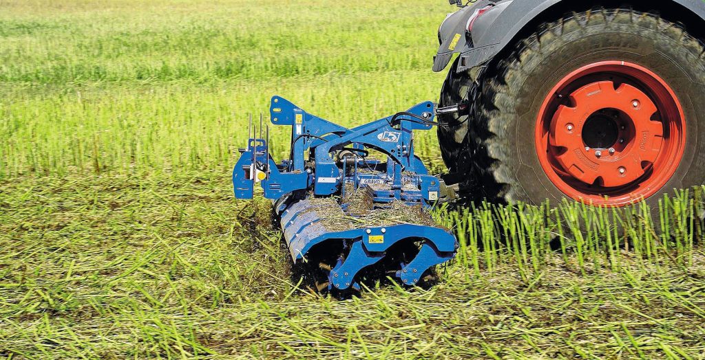 Köckerling heeft de messenwals vooral ontwikkelt om koolzaad- en maisstoppels te verkleinen, en om groenbemesters in te werken.