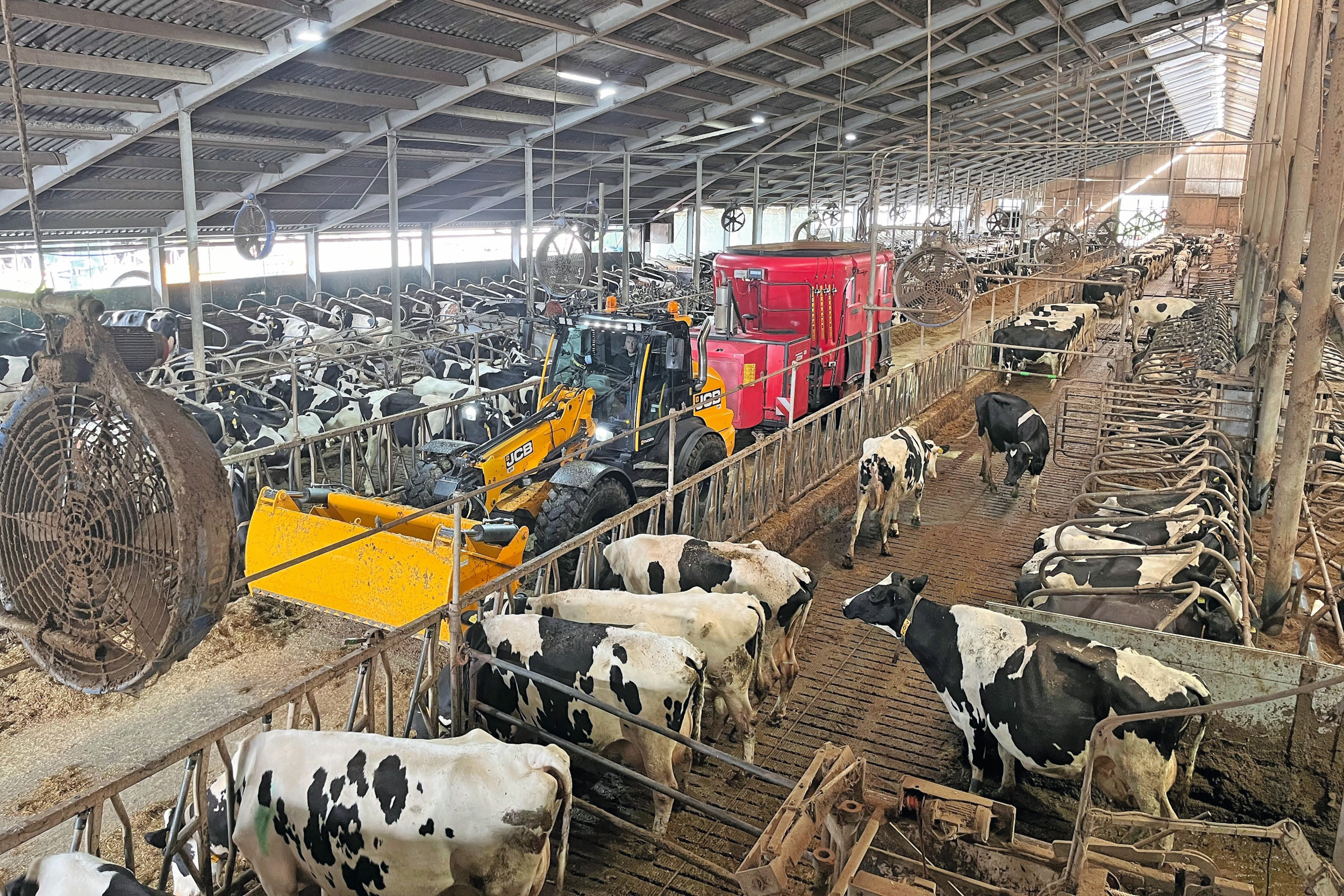 Loonvoerder Johan Zwijnenburg kiest voor een JCB-wiellader in combinatie met een Peecon-voermengwagen. Begin dit jaar begon hij voor zichzelf. Inmiddels rijdt Zwijnenburg dagelijks langs tien klanten die verspreid zijn over twaalf locaties. Foto’s: Lars Verhage