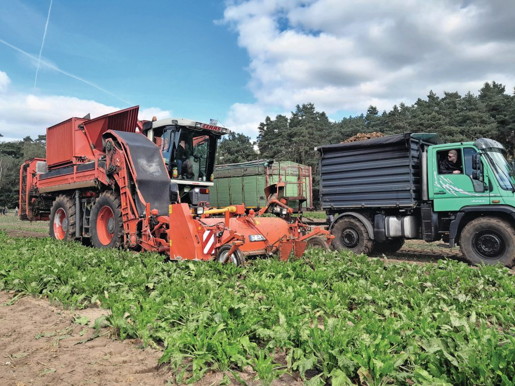 Nordhorn 2024: Xerion met Holmer-opbouwbietenrooier in actie. Foto: Martin Smits