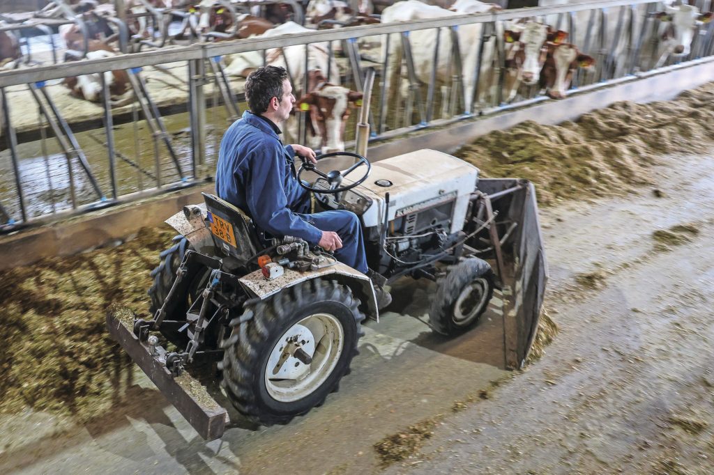 Goed is goed. Zo is er geen minishovel op het erf te vinden. In plaats daarvan rijden er al meer dan twintig jaar twee onverwoestbare Japanse Kumiai-compacttrekkertjes om het voer aan te schuiven en de boxen in te strooien.