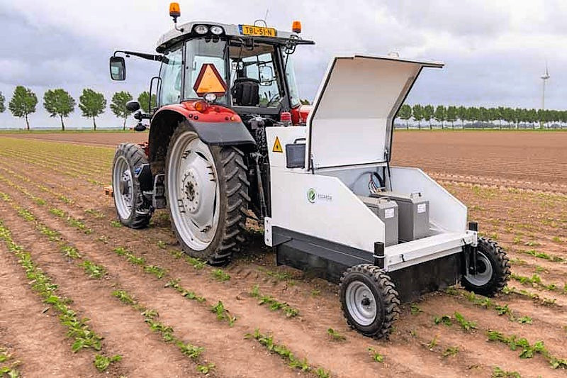 Gps-gestuurd rijdt de Ekobot-robotwieder autonoom over een perceel. Camera’s detecteren de planten, de software analyseert deze en een robotarm tikt de onkruidplantjes opzij. Foto: Koos Groenewold