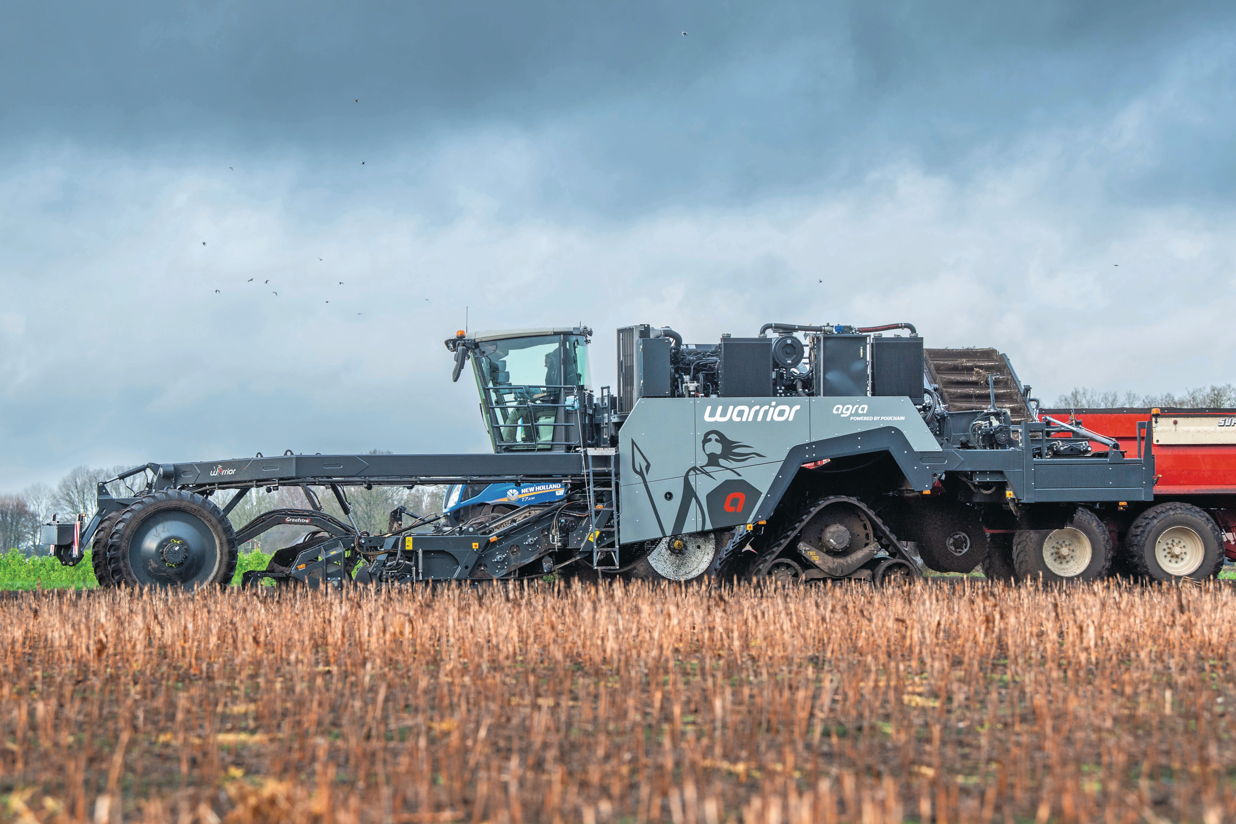 Met de Agra Warrior zet Graafstra Machinebouw uit Oosterwolde een breed inzetbare rooier in de markt. De eisen van bollentelers stonden voor het ontwerp centraal en daarmee vult Graafstra een gat in een specifieke markt. Foto's: Mark Pasveer