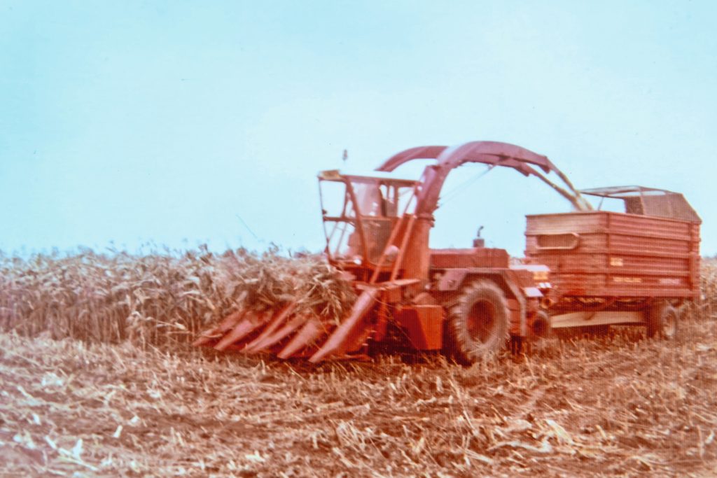Een foto uit de oude doos: een Kaweco-hakselaar in actie. Het verhaal gaat dat Claas alle uitvindingen van de Kaweco-hakselaar overnam en zo een vliegende start maakte. Maar Claas keek wel degelijk goed naar de Kaweco-hakselaar.